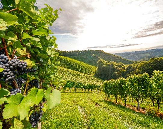 AdobeStock_100760836