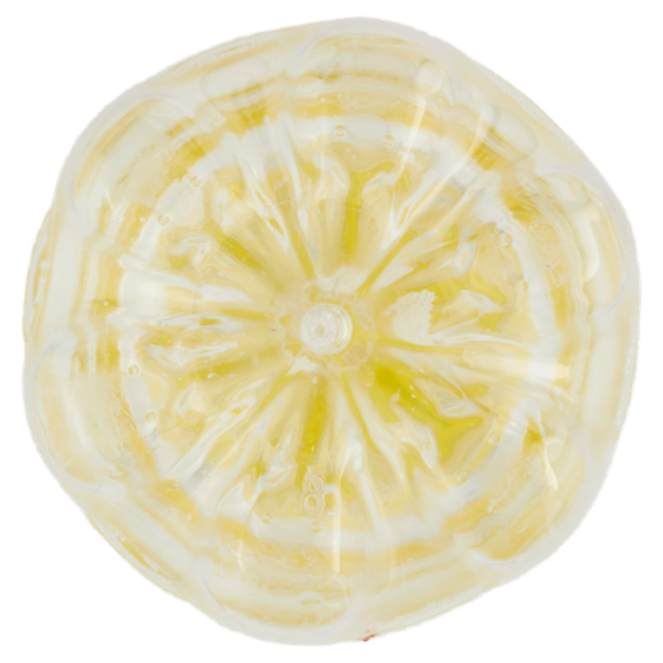 Consilia Acqua Tonica 1 L