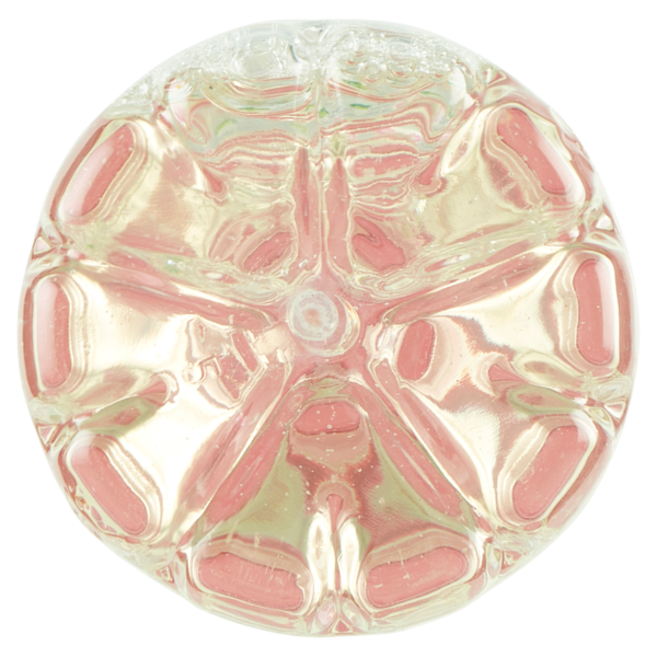 Sant'Anna Beauty C+Collagene Idrolizzato Forte Kiwi + Lime + Menta 330 ml