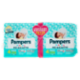 Pampers Baby-dry 4 Maxi 25+25 pz