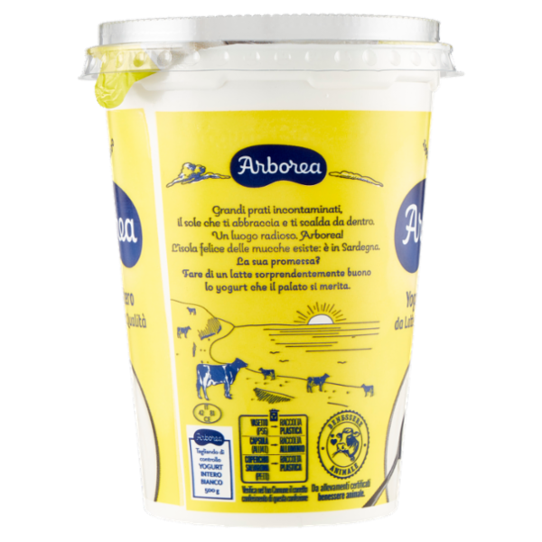 Arborea Yogurt Intero da Latte di Alta Qualità Bianco 500 g
