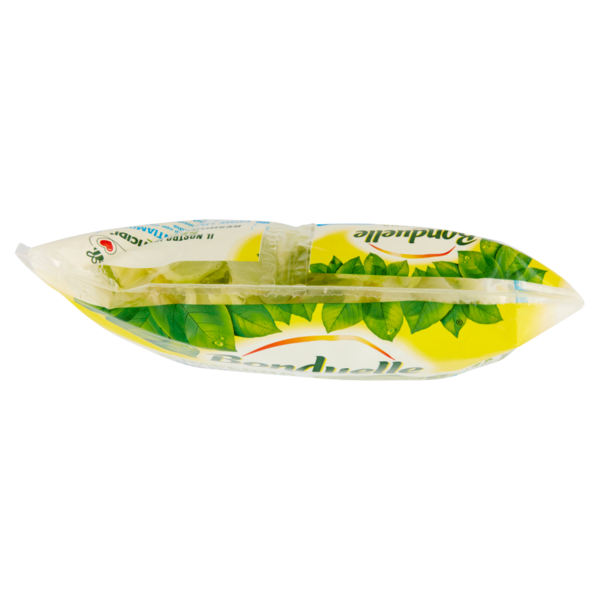 Bonduelle Iceberg 200 g