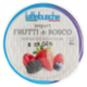 lattebusche yogurt Frutti di Bosco 500 g