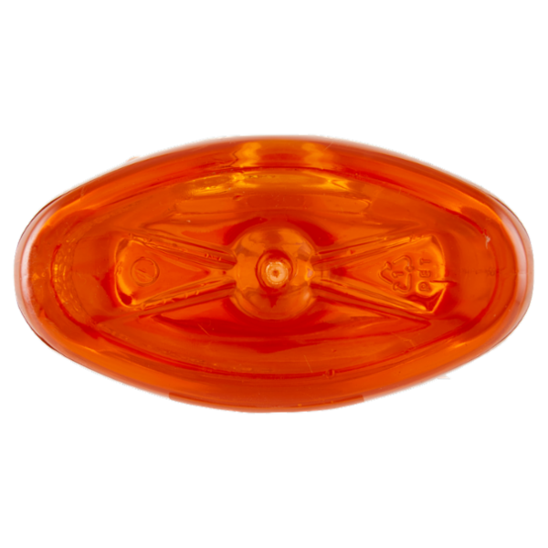 Scala Piatti Igienizzante Anti-odore Agrumi 750 ml