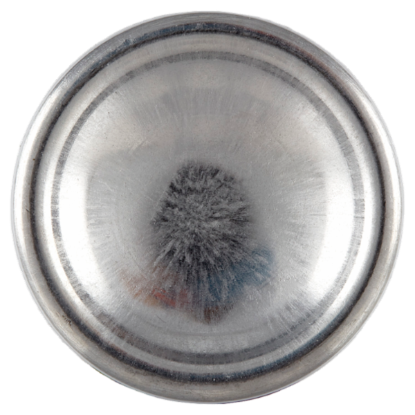 Giardino dei Sensi Iris poetico Profumo 100 ml