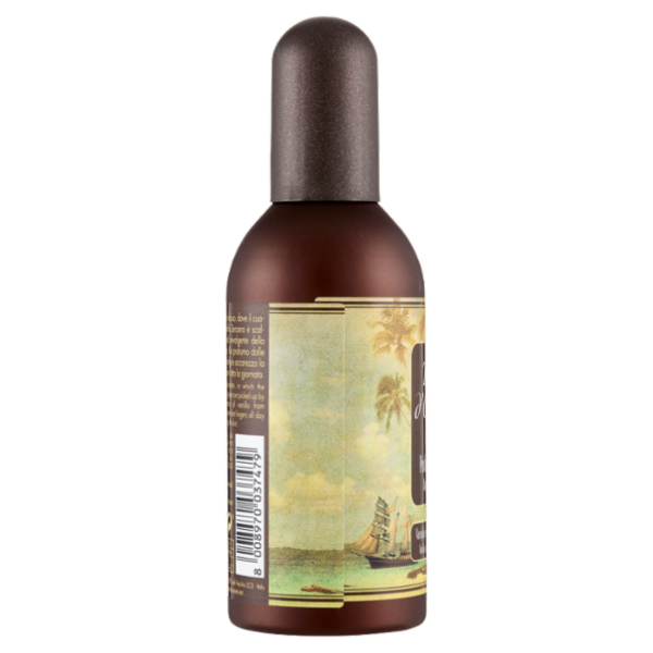 Tesori d'Oriente Profumo aromatico vaniglia e zenzero del Madagascar 100 ml
