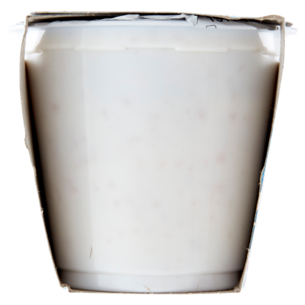 Selex Vivi Bene Yogurt con Bifidus Bianco e Cereali 2x125 g