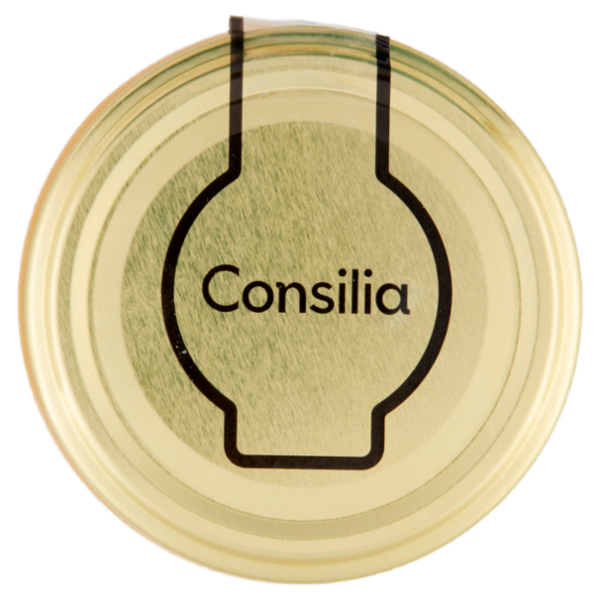 Consilia Miele Millefiori 500 g