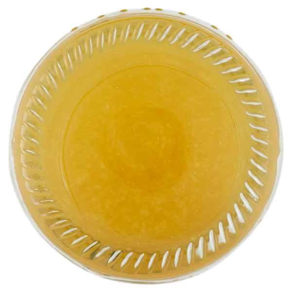 Galvanina Aranciata Biologica 355 ml