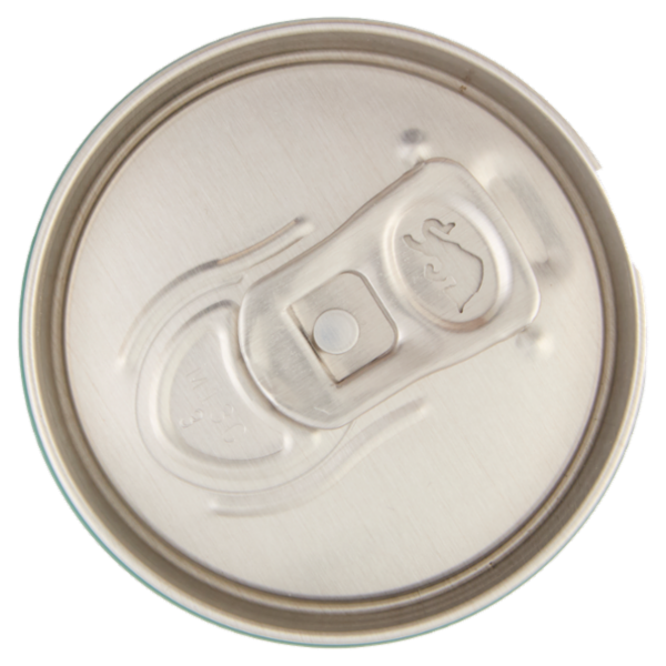 Organics by Red Bull Bitter Lemon - lattina da 250 ml