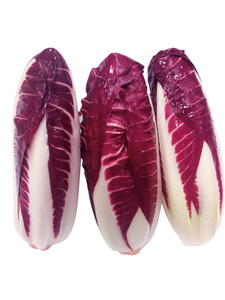 Radicchio Spadone