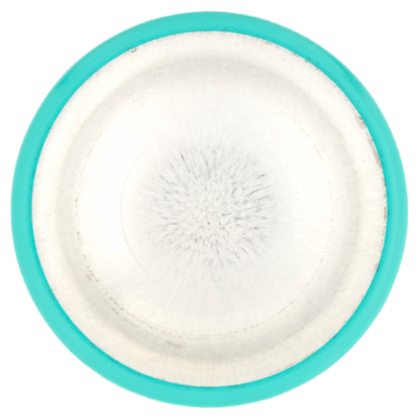 L'Oréal Paris Ritocco Perfetto - Spray istantaneo ritocco radici - 6 Castano Mogano