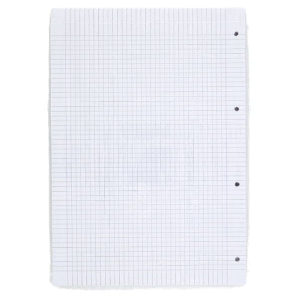 Selex Ricambio Bianco Quaxima Formato A4 40 Fogli Rinforzati 80 g Quadretti 5 mm con Margine