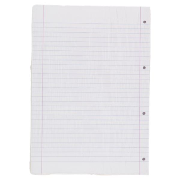 Selex Ricambio Bianco Quaxima Formato A4 40 Fogli Rinforzati 80 g Riga Unica con Margine