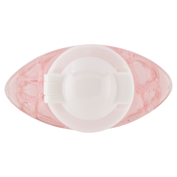 Garnier Acqua di Rosa - Tonico Lenitivo per pelli secche o sensibili - 200 ml