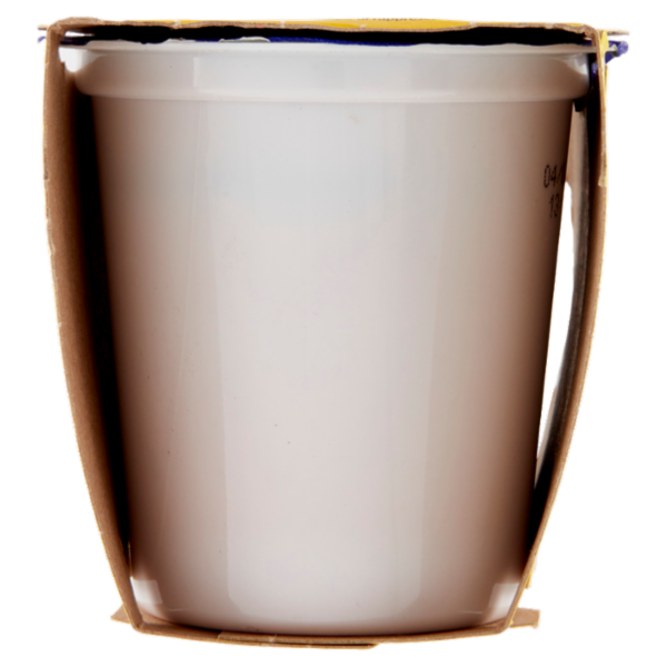 Centrale del latte Vicenza Yogurt Intero Frutta Frullata Prugna 2 x 125 g