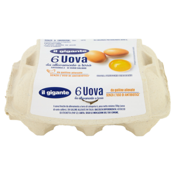 IL GIGANTE Uova da allevamento a terra senza uso di antibiotici 6 Uova Fresche di Vario Calibro 330g