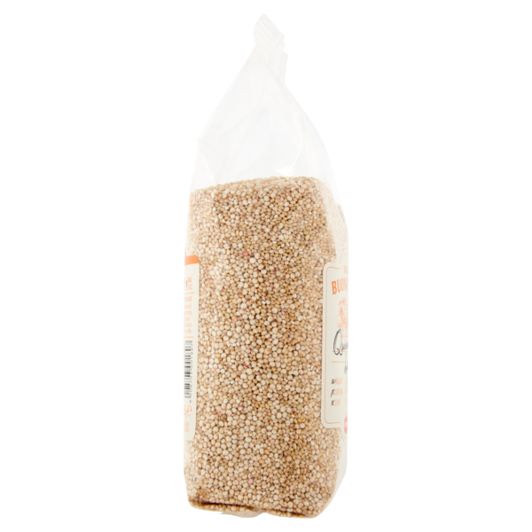Dalla Buona Terra pedon Quinoa bianca 500 g