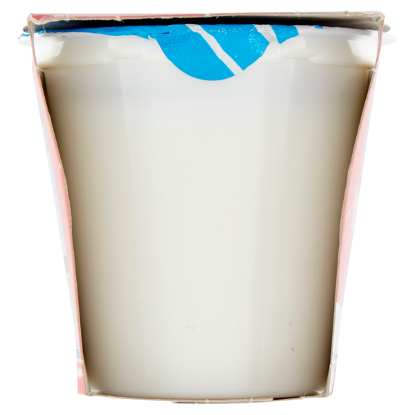 IL GIGANTE Yogurt Bianco Intero 2 x 125 g