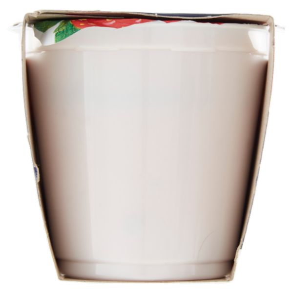 Centrale del Latte Alessandria e Asti il Tuo Yogurt Fragola Intero 2 x 125 g
