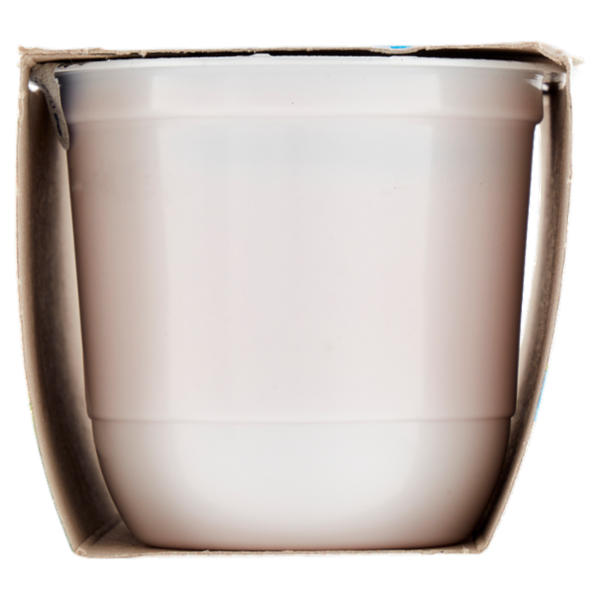 parmalat Yogurt Intero alla Fragola Vellutato 2 x 125 g