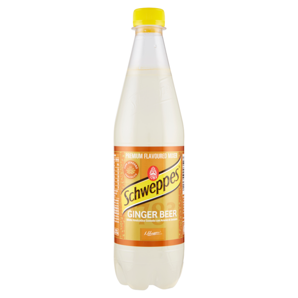 Schweppes Ginger Beer 0,60 L pet