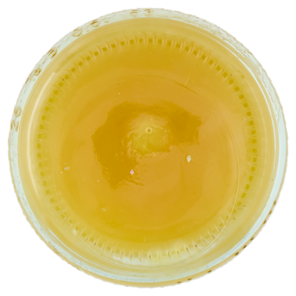 Selex Natura Chiama Bevanda Arancia e Zenzero Biologica 500 ml