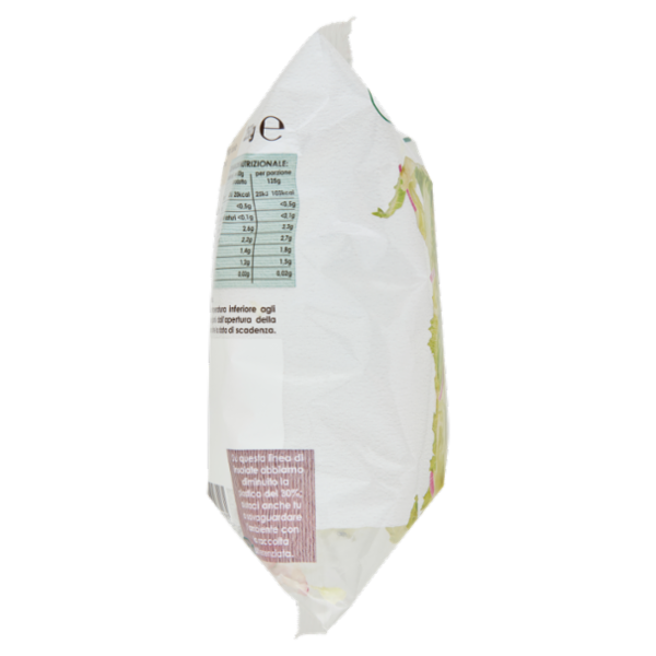 OrtoRomi Iceberg & Cipolla 250 g