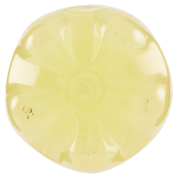 Recoaro Bio Limonata 0,8 L