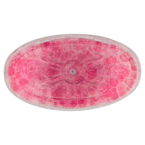 Fabuloso detersivo pavimenti Freschezza Floreale profumo 24h 1 L