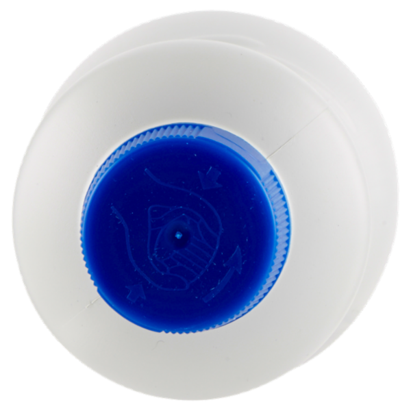 Selex Casa Bella Ammoniaca Classica 1 L