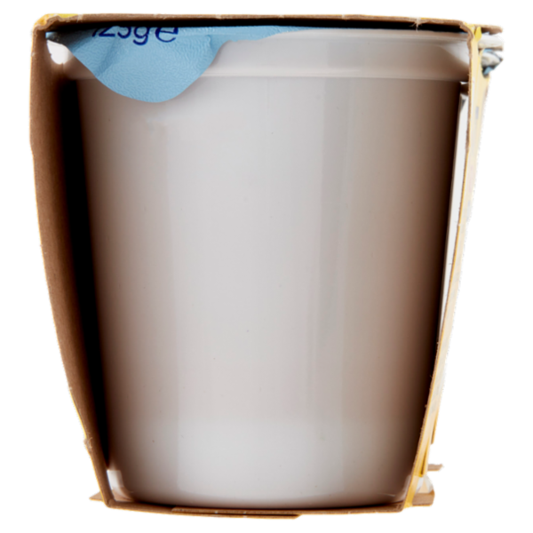 Centrale del latte Vicenza Yogurt Magro Frutta Frullata Pesca Caffè 2 x 125 g