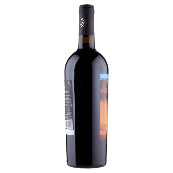 Brumale Sangiovese Romagna DOC 75 cl