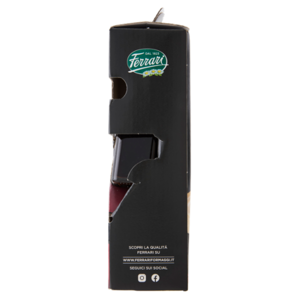 Ferrari Grana Padano DOP 400g con condimento balsamico