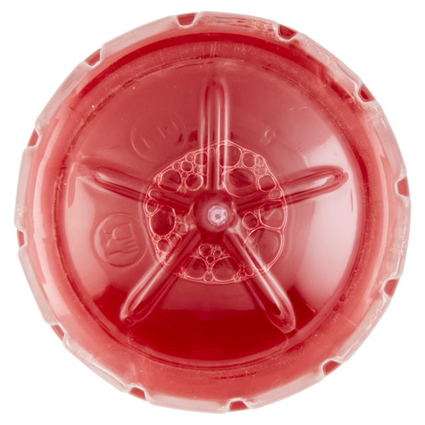 Santàl Plaisir arancia rossa 1000 ml