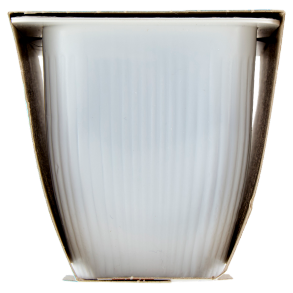 Valsoia Bontà e Salute il Budino Cacao ad alto contenuto di calcio 2 x 115 g