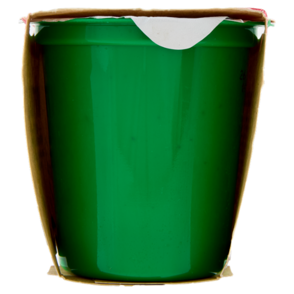 Cuore Veg Mirtillo 2 x 125 g