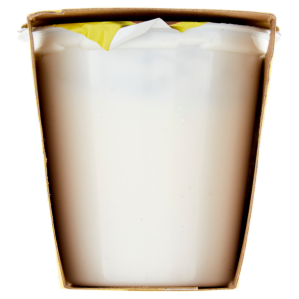 Arborea Yogurt Intero da Latte di Alta Qualità Limone Frullato 2 x 125 g