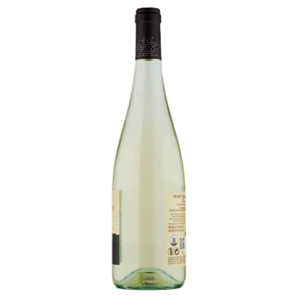 Pasqua Pinot Chardonnay Trevenezie IGT 750 ml