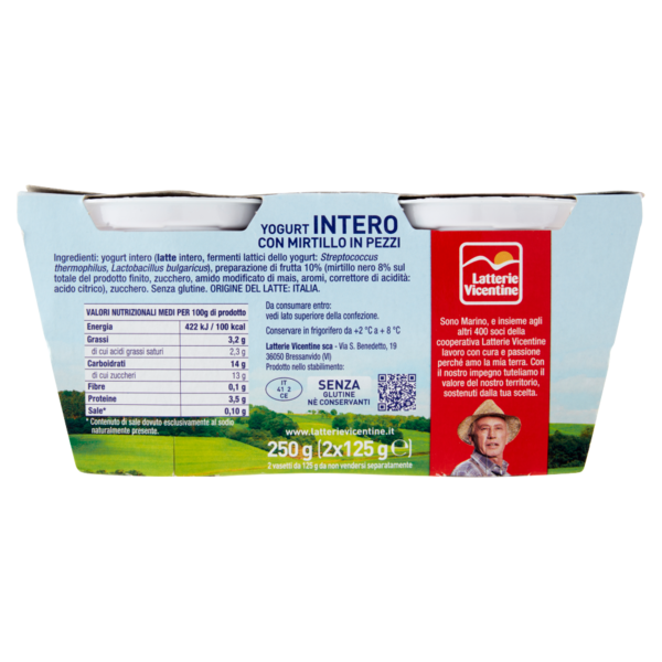 Latterie Vicentine Yogurt Intero al Mirtillo 2 x 125 g