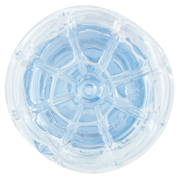 evian Acqua Minerale Naturale 1 L