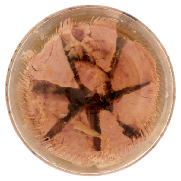 Zarotti Filetti di Tonno in Olio d'Oliva 520 g