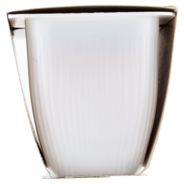 Valsoia Bontà e Salute il Budino Gusto Panna Cotta al caramello 2 x 115 g