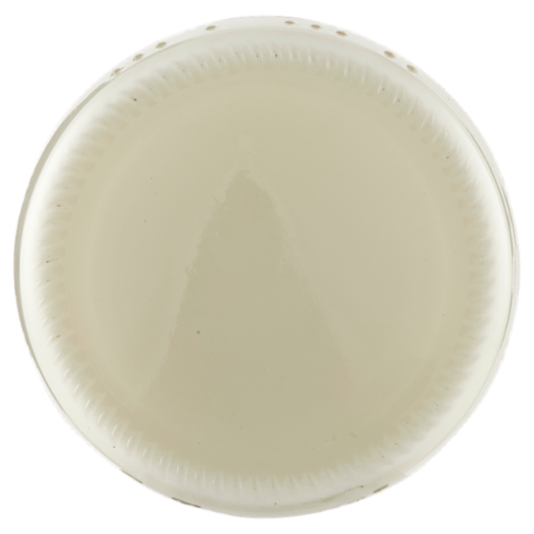 Sterzing Vipiteno bio yogurt da latte fieno bianco senza Lattosio 150 g