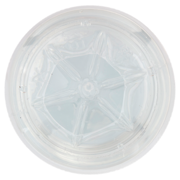 Fonte essenziale Acqua Minerale Naturale 1 L