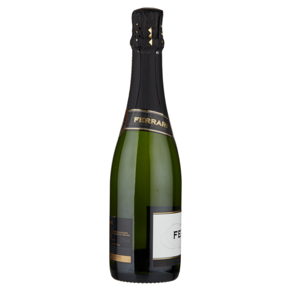 Ferrari Brut Trentodoc 0,375 l