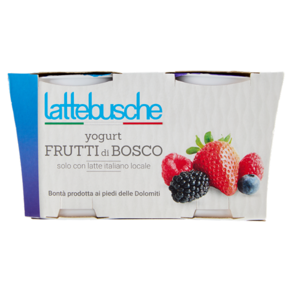 lattebusche yogurt Frutti di Bosco 2 x 125 g