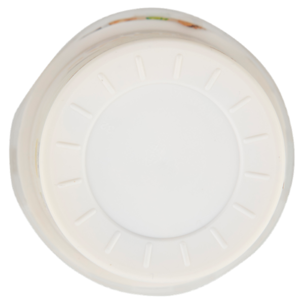 ALPRO Soia, Vaniglia con Calcio e Vitamine aggiunte, alternativa vegetale allo Yogurt 500g