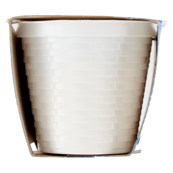 Selex Ricottine 2x100 g