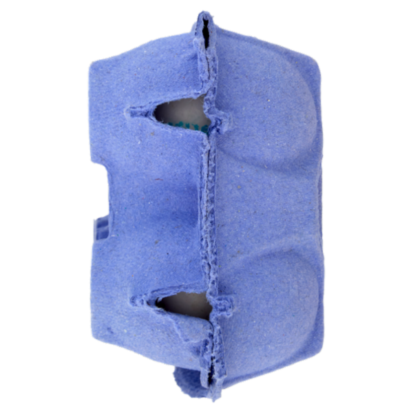 IL GIGANTE Uova da allevamento a terra 6 Uova Fresche Medie